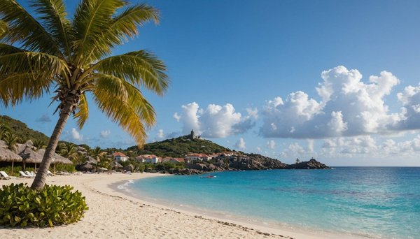 Découvrez les services prestigieux de barnes à saint-barthélemy
